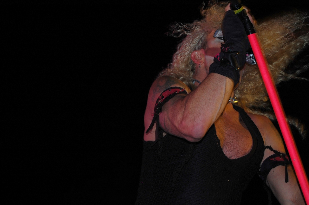 3 Twisted Sister 60.jpg